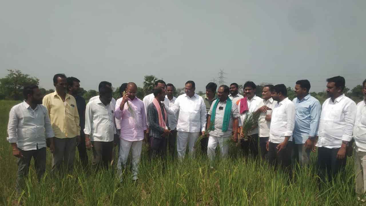 Koppula Eshwar | పెద్దపల్లి జిల్లాలో ఎండిన పంటలను పరిశీలించిన కొప్పుల ఈశ్వర్‌