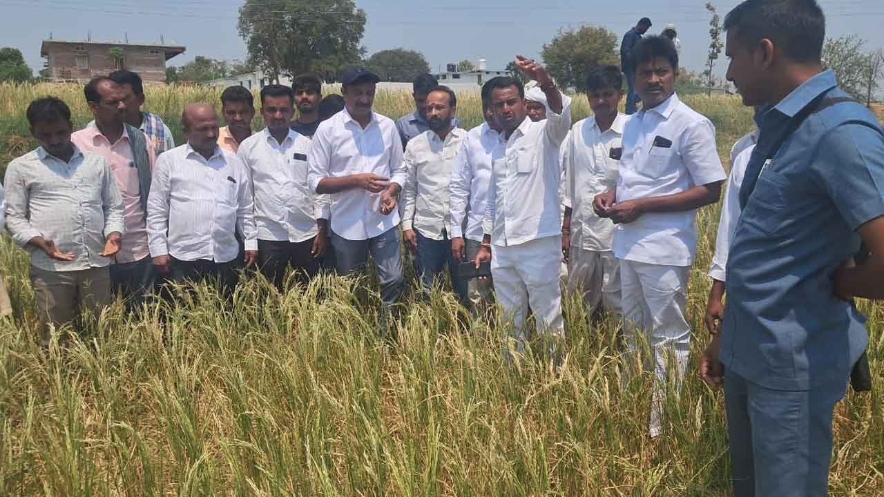 Dry crops | పంటలను కాపాడేందుకు ప్రాజెక్టుల గేట్లు ఎత్తాలి : కొత్త ప్రభాకర్‌ రెడ్డి