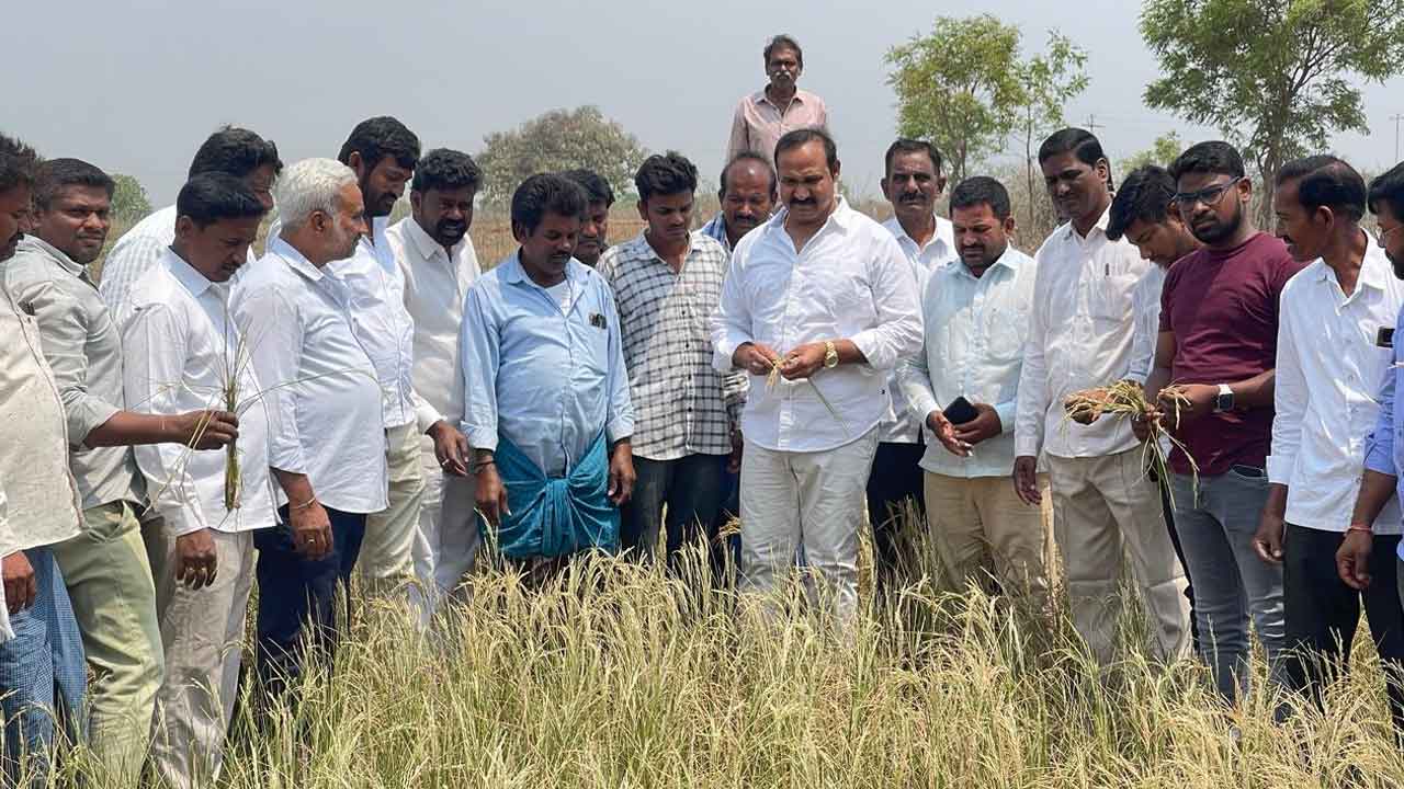MLA Mallaiah Yadav | పంట నష్టంపై మంత్రివర్గ సమావేశం ఏర్పాటు చేయాలి