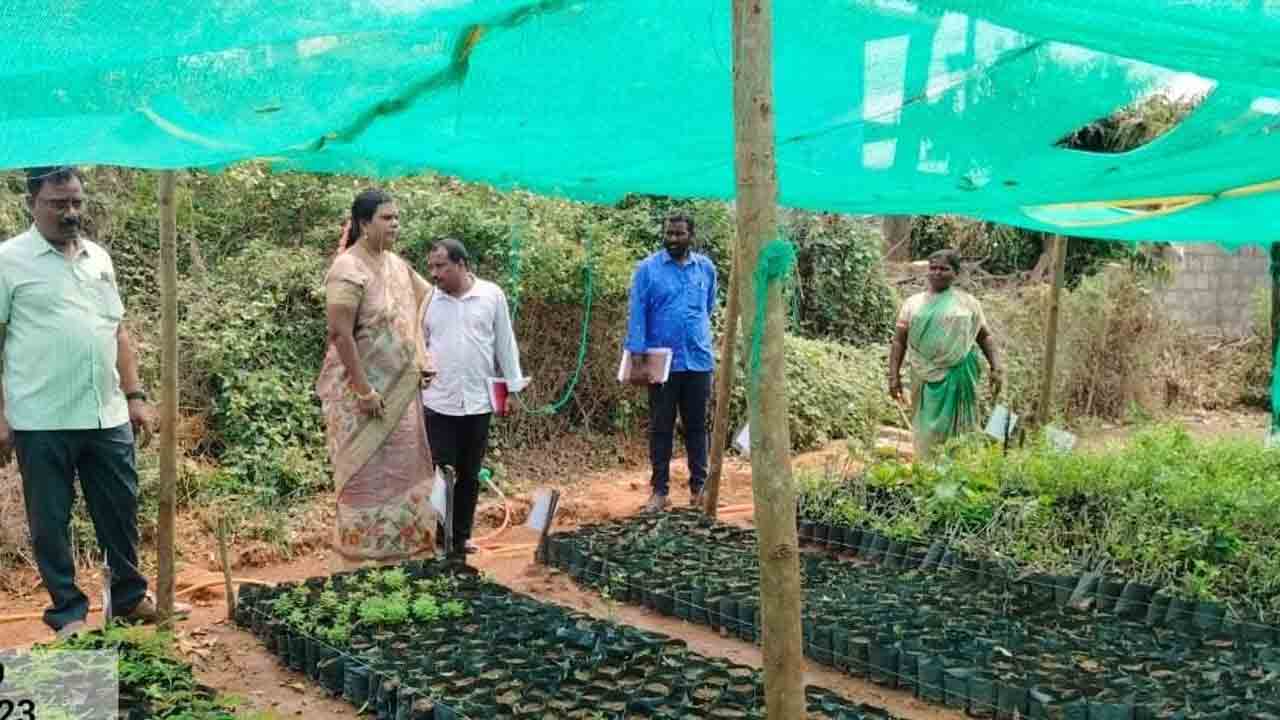 మొక్కలు ఎండిపోకుండా చూడాలి