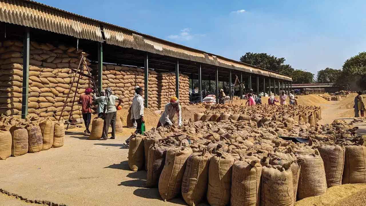 Rice | దేశంలో తగ్గనున్న వరి దిగుబడి.. గత ఎనిమిదేండ్లలో ఇదే తొలిసారి
