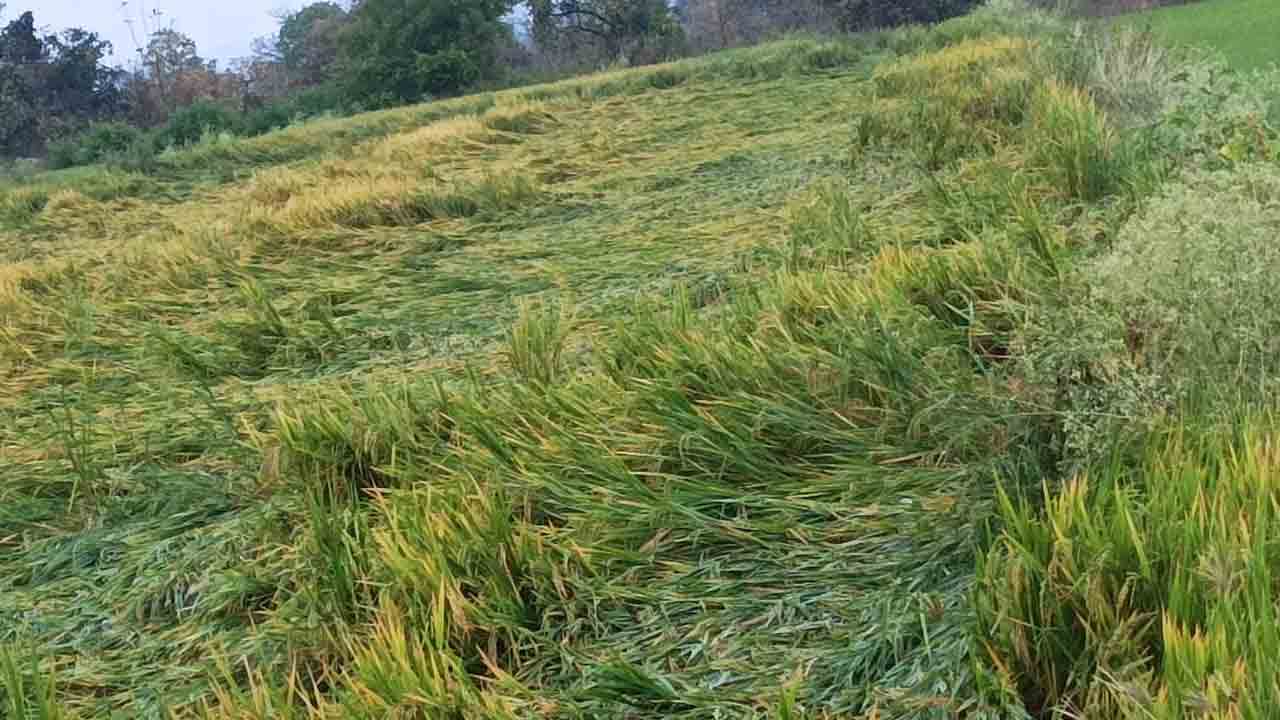 ఎకరానికి 15000