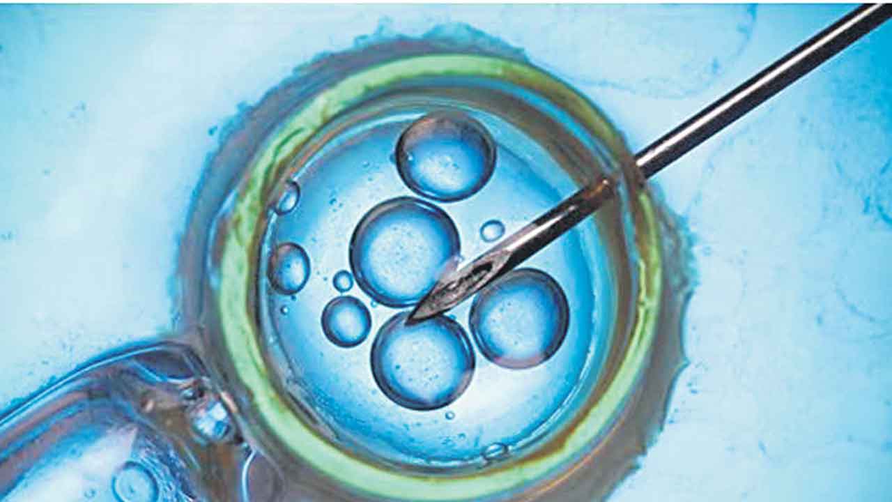 Skin Cells | సంతాన లేమితో బాధపడేవారికి గుడ్‌న్యూస్‌.. ఆ కణాలతో పిండాలను సృష్టి!