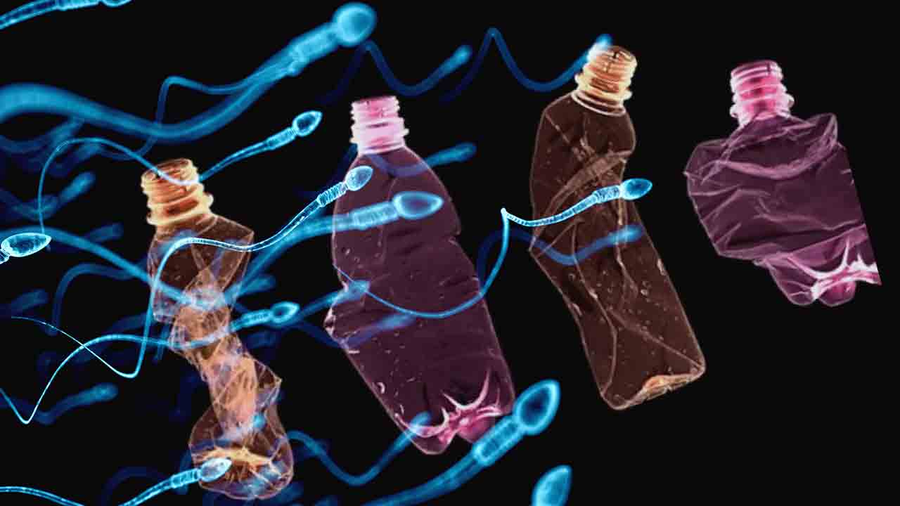 Plastic | శరీరం ప్లాస్టిక్‌మయం.. సంతానోత్పత్తిపై ప్రభావం