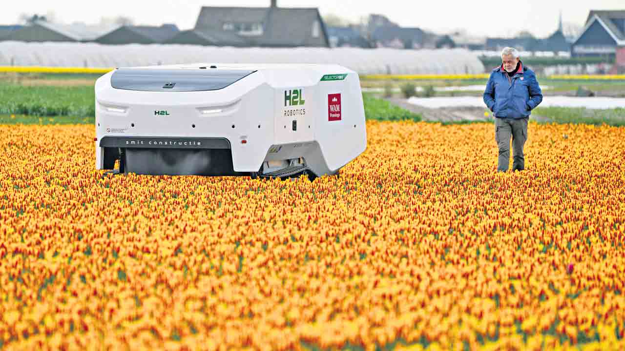 Robot | పూలు తెంపే రోబో.. మూడు షిఫ్టుల్లో పని