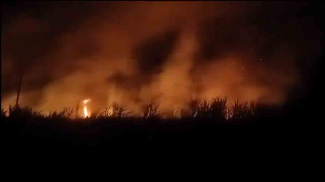 Jagtial | జ‌గిత్యాల జిల్లాలో దారుణం.. చెరుకు తోటకు నిప్పుపెట్టిన దుండగులు