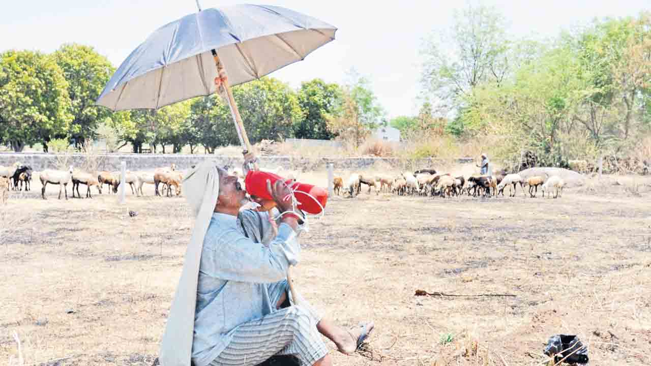 ఎండ ప్రచండం