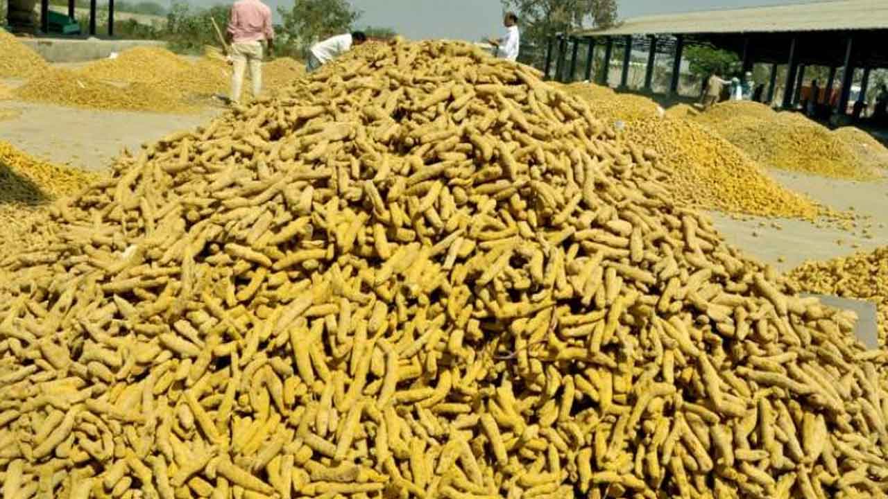 Turmeric price | పసుపు @ రూ.15 వేలు.. ఈ సీజన్‌లో ఇదే రికార్డు