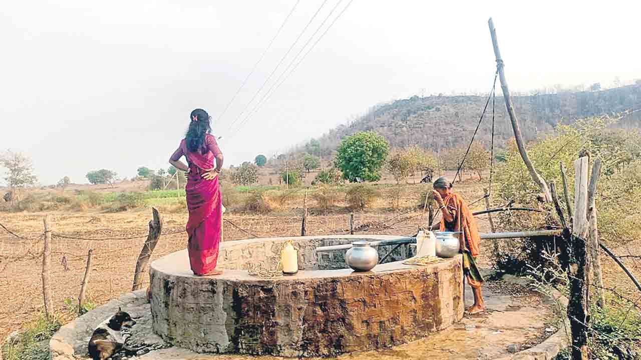 కలెక్టర్‌ ఆదేశాలు బేఖాతర్‌