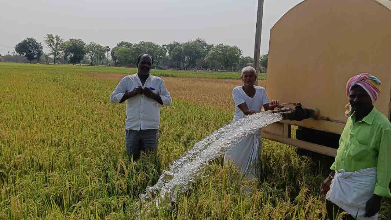 చి‘వరి’ ప్రయత్నం
