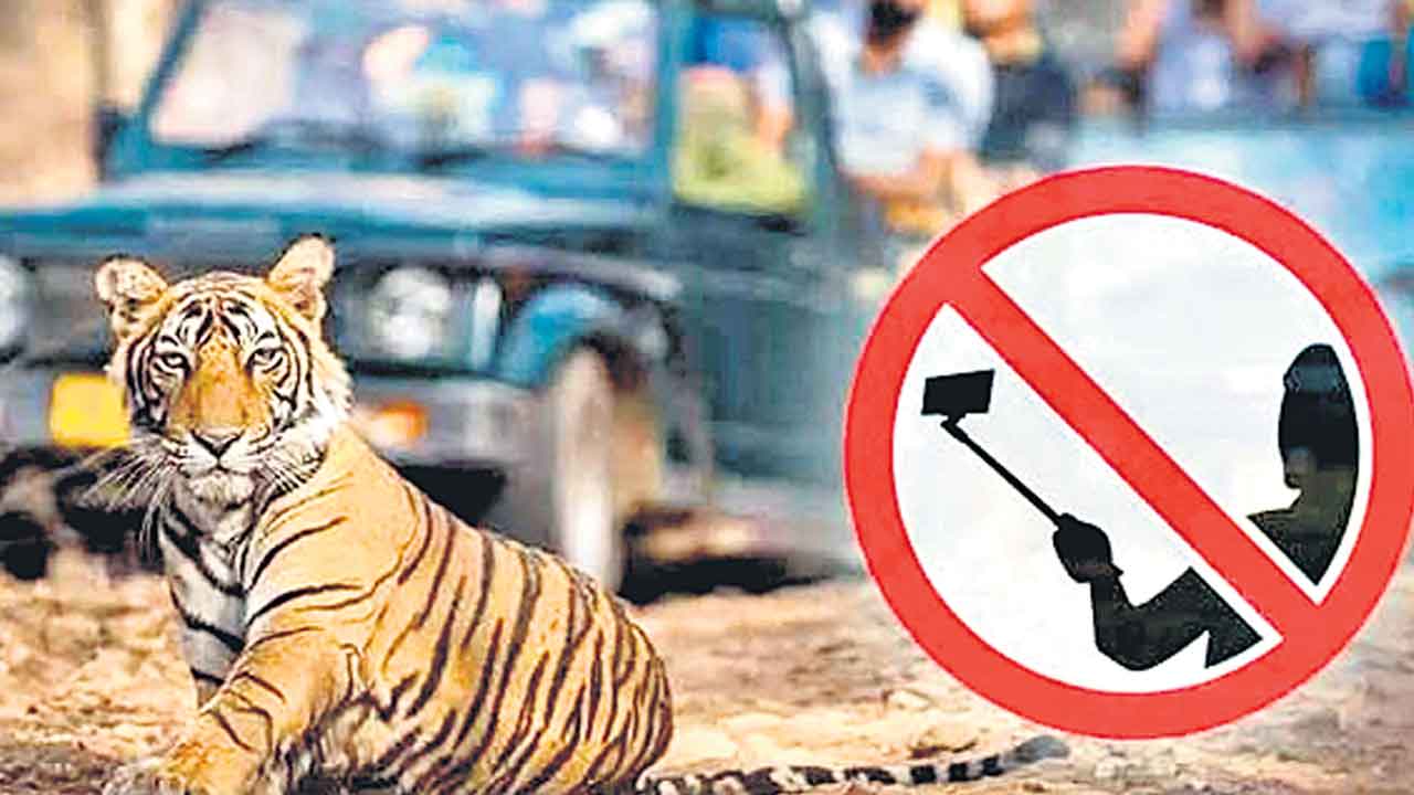 Wild Animals | వన్యప్రాణులతో సెల్ఫీలు దిగున్నారా.. అయితే మీరు ఏడేండ్లు జైలుకే!