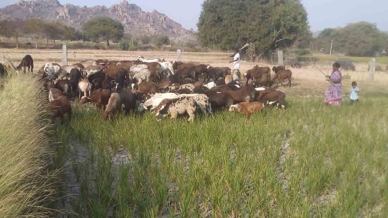 రైతన్నకు కష్టకాలం