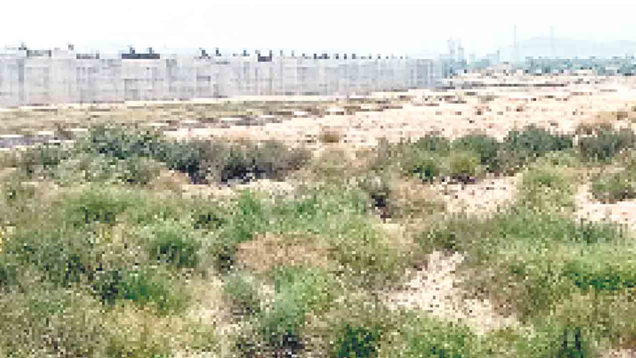 ఎడారి.. గోదారి!