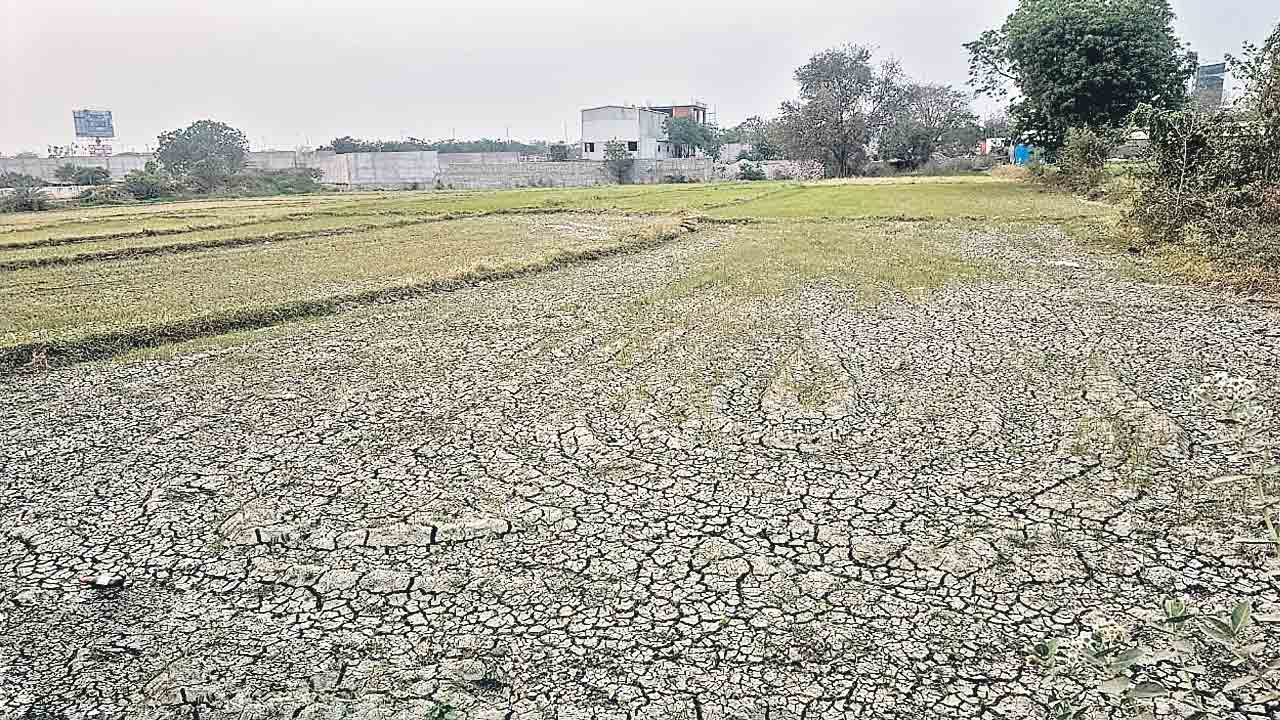 పైన గంగా.. కింద బెంగ కారణం జలగలేనా..?