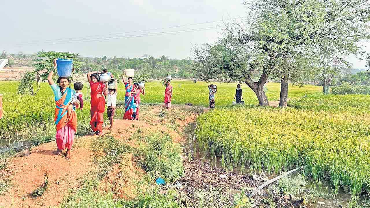 దాహం.. దాహం..