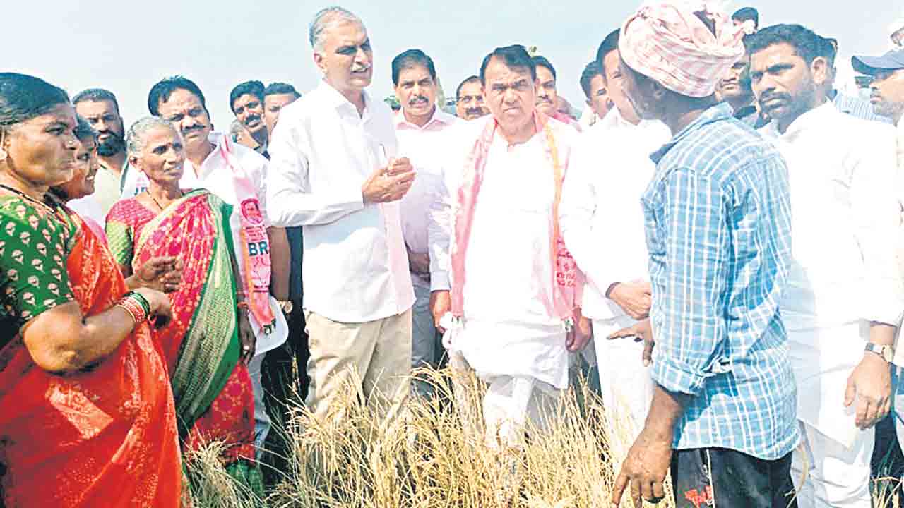 క్షేత్రస్థాయిలో పరిశీలించి.. మేమున్నామని భరోసానిచ్చి..