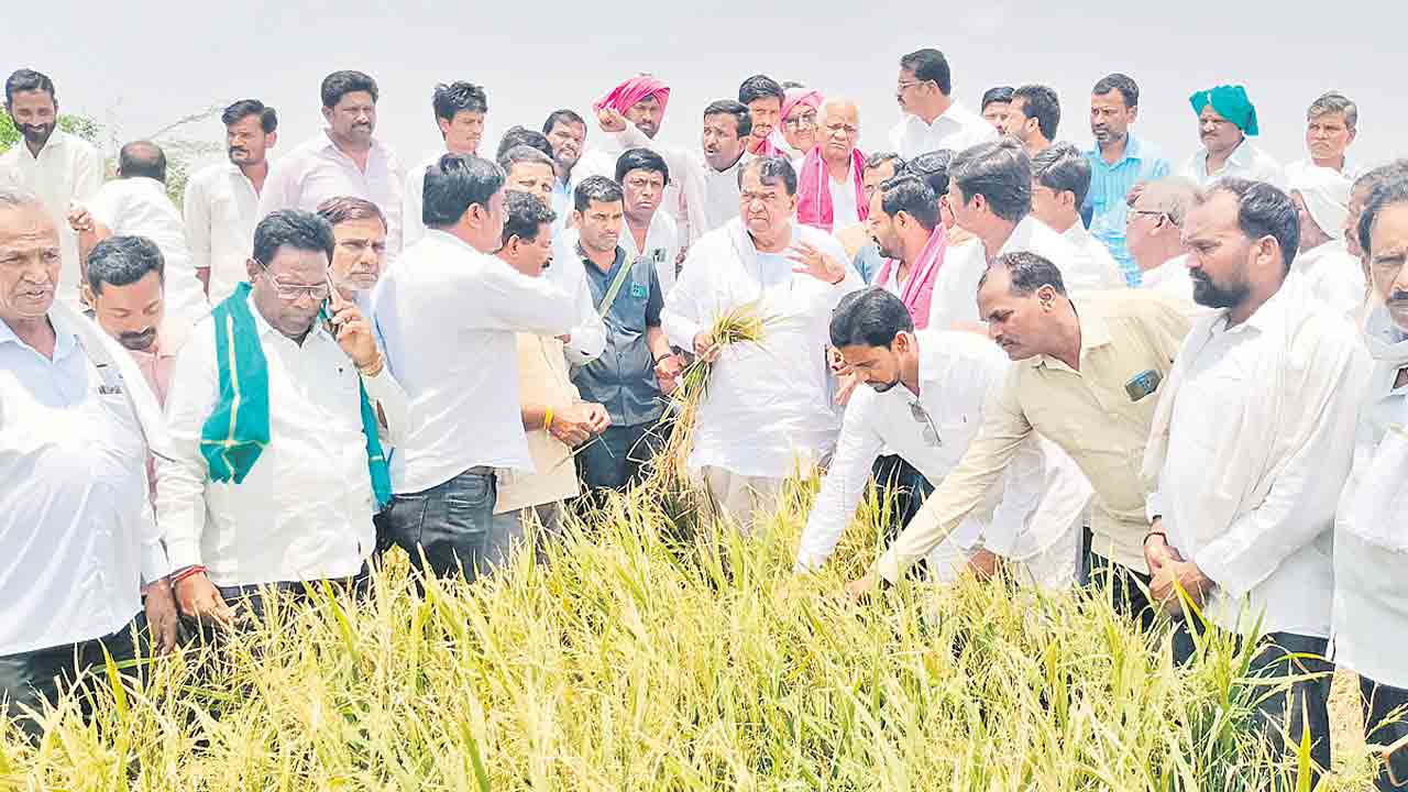 పంట నష్టపోయిన రైతులను ఆదుకోవాలి