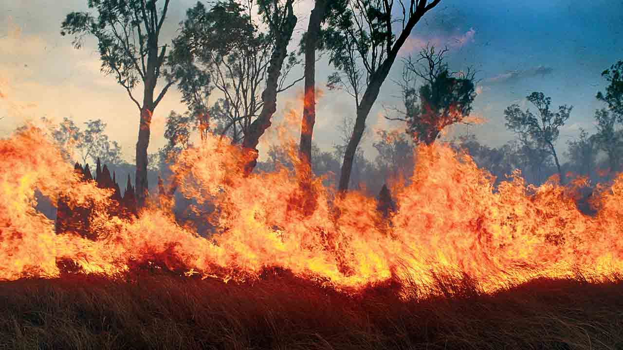 కార్చిచ్చును ఆర్పేద్దాం..