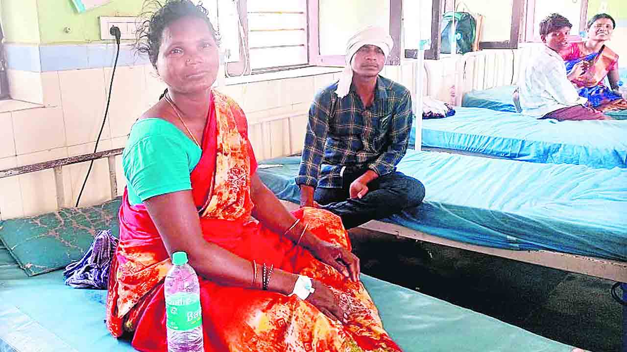 Warangal | కాటేసిన పాముతో దవాఖానకు వచ్చిన మహిళ..