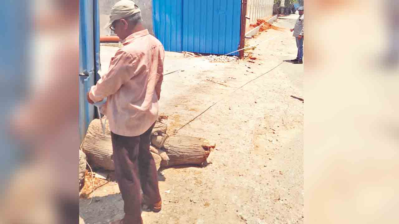 దానం నజరానా నిజమే!