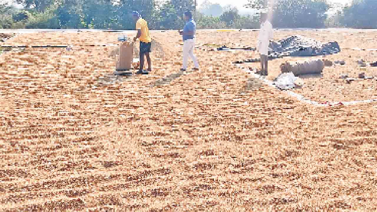 గన్నీ గోస