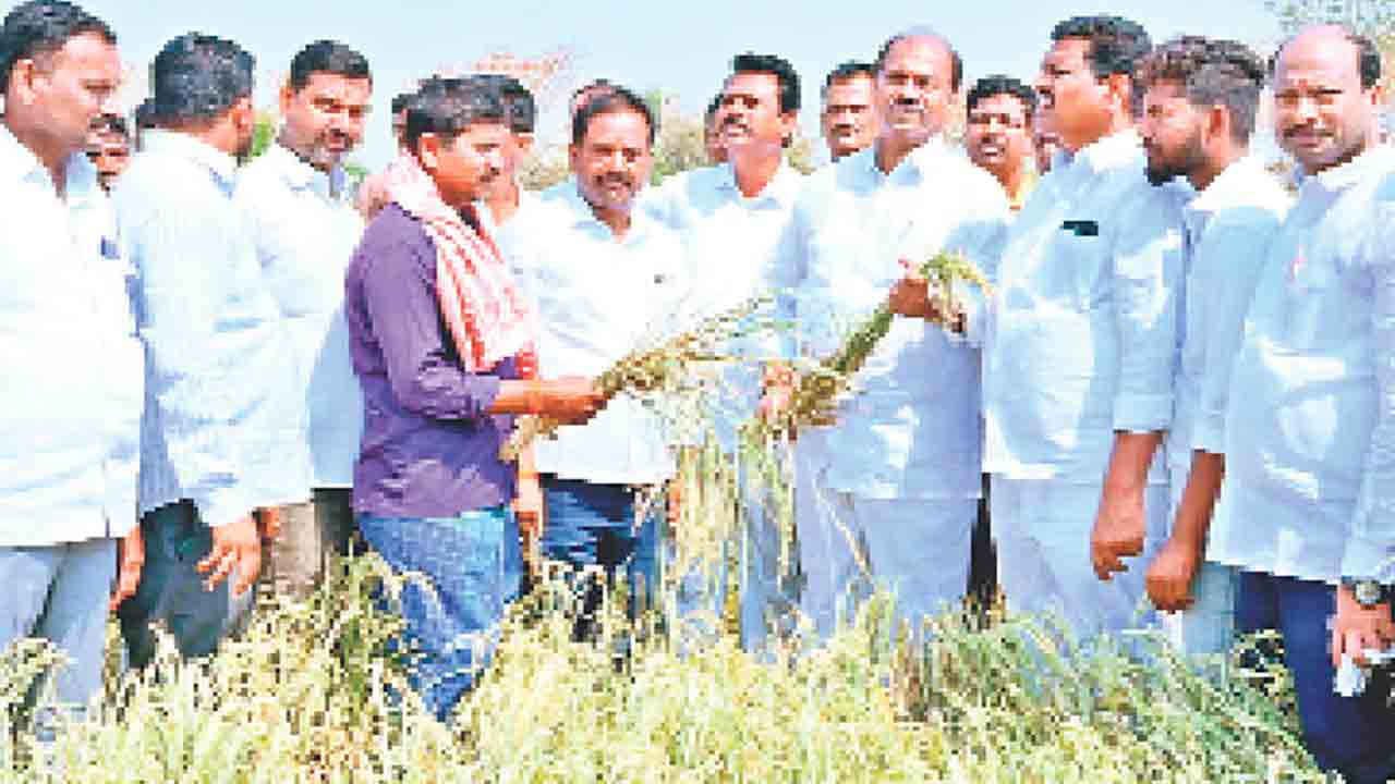 కాంగ్రెస్‌ పాలనలో కరువు తాండవం