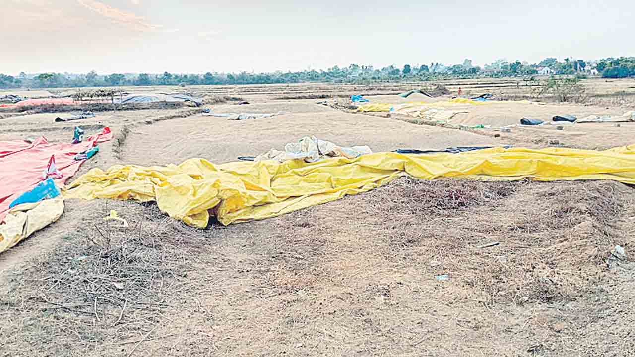 ఎక్కడి ధాన్యం అక్కడే..