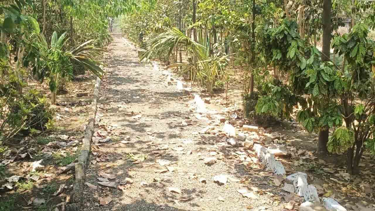 ‘ప్రకృతి’ లేదు.. పరవశమూ లేదు..