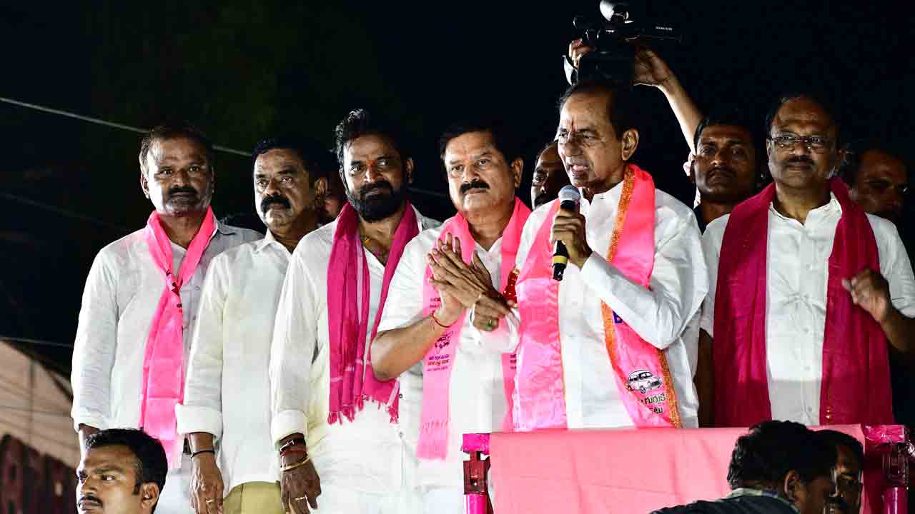 దారులన్నీ గులాబీ వనాలే..