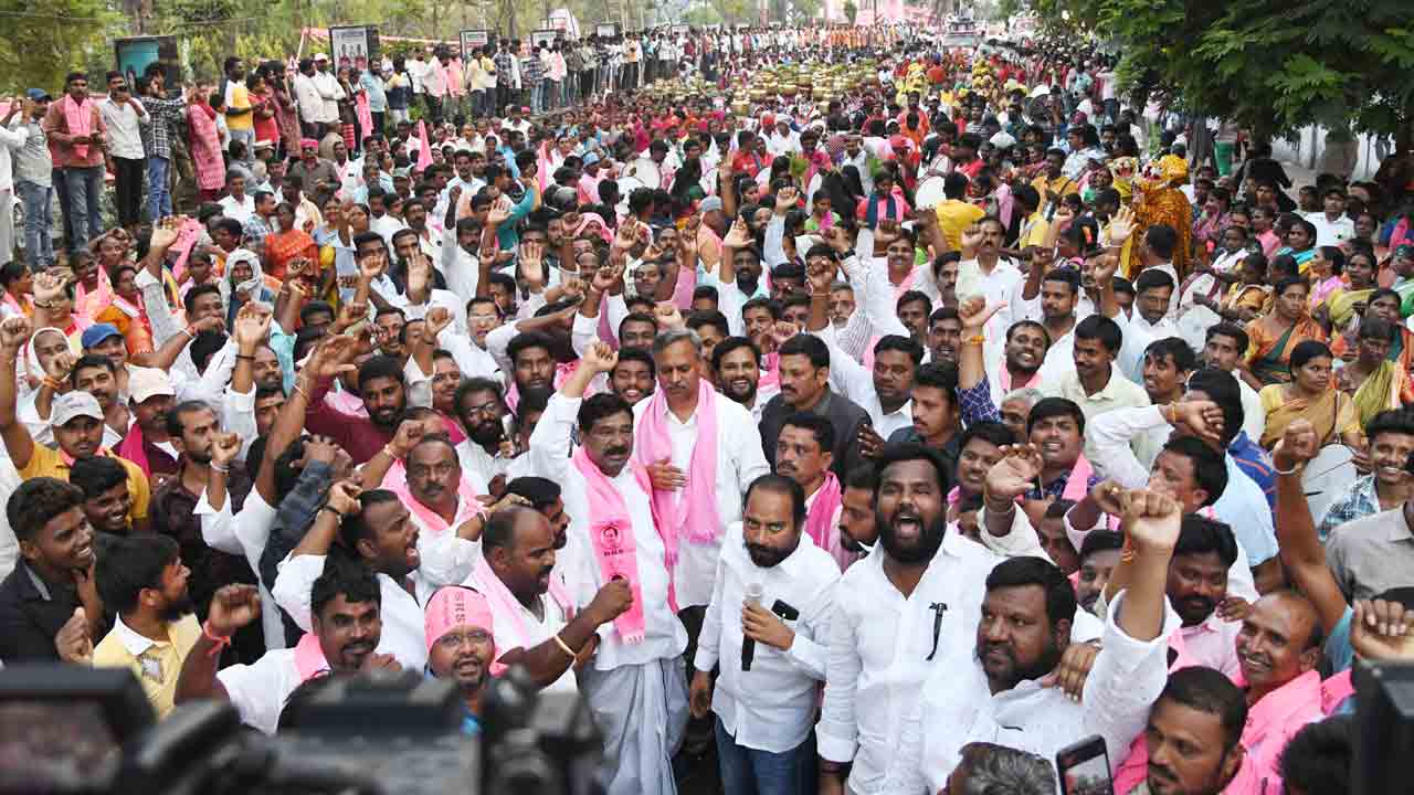 నగరం.. గులాబీ వనం