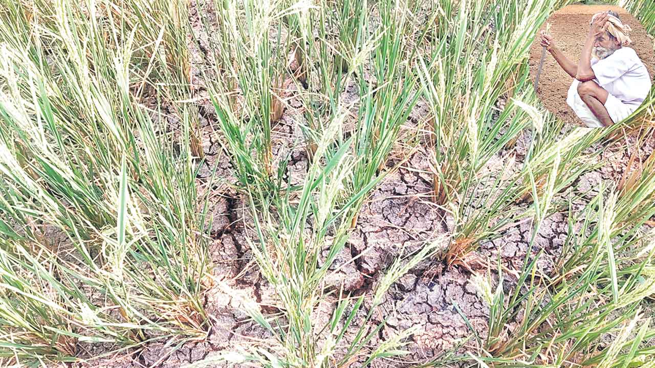 పాతాళంలో నీరు పరేషాన్ లో రైతు