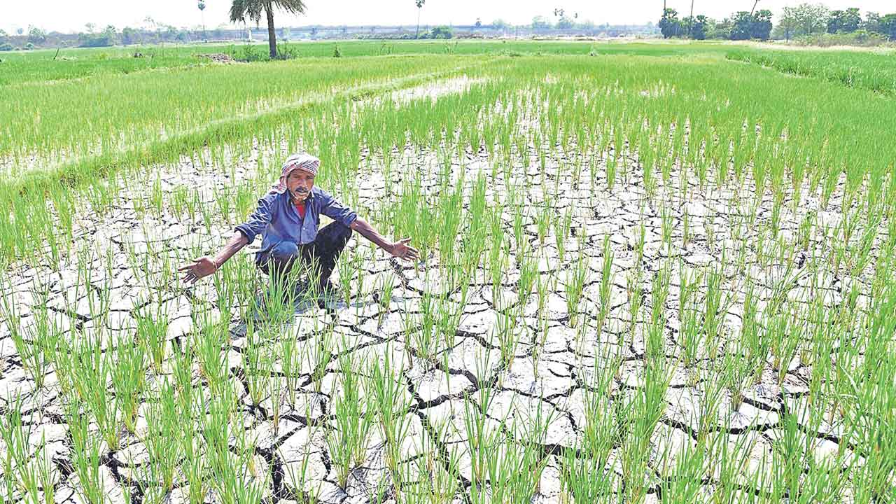 ఎండని చేనేది.. ఏడ్వని రైతేడి ?