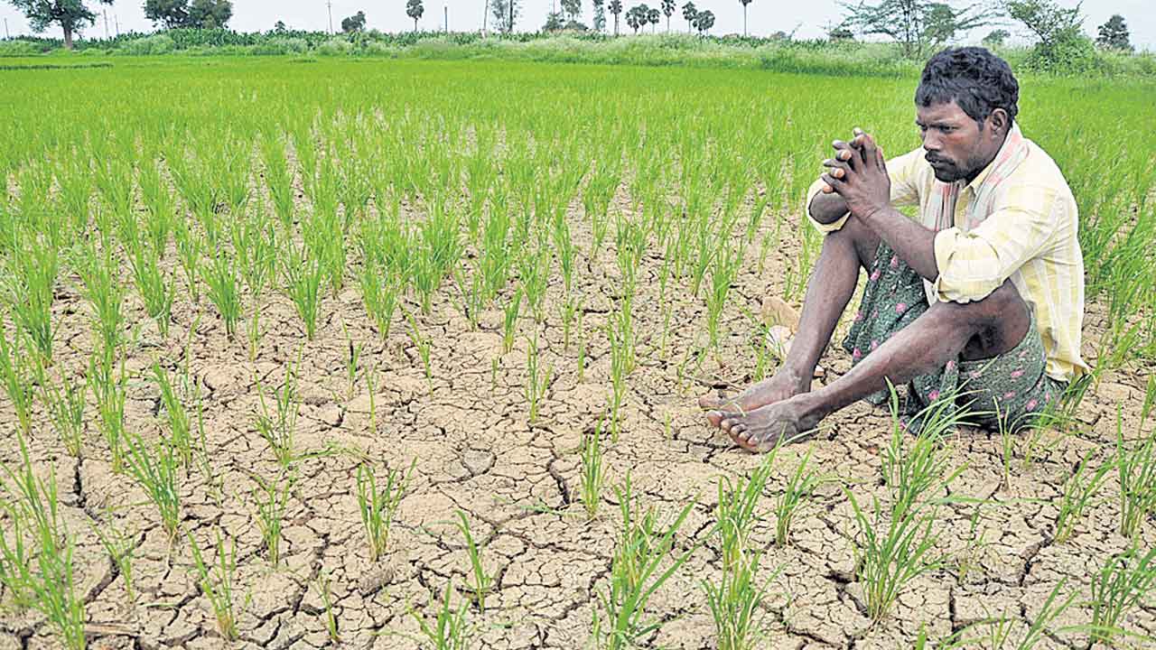 Telangana | రైతులకు భరోసా ఏది?