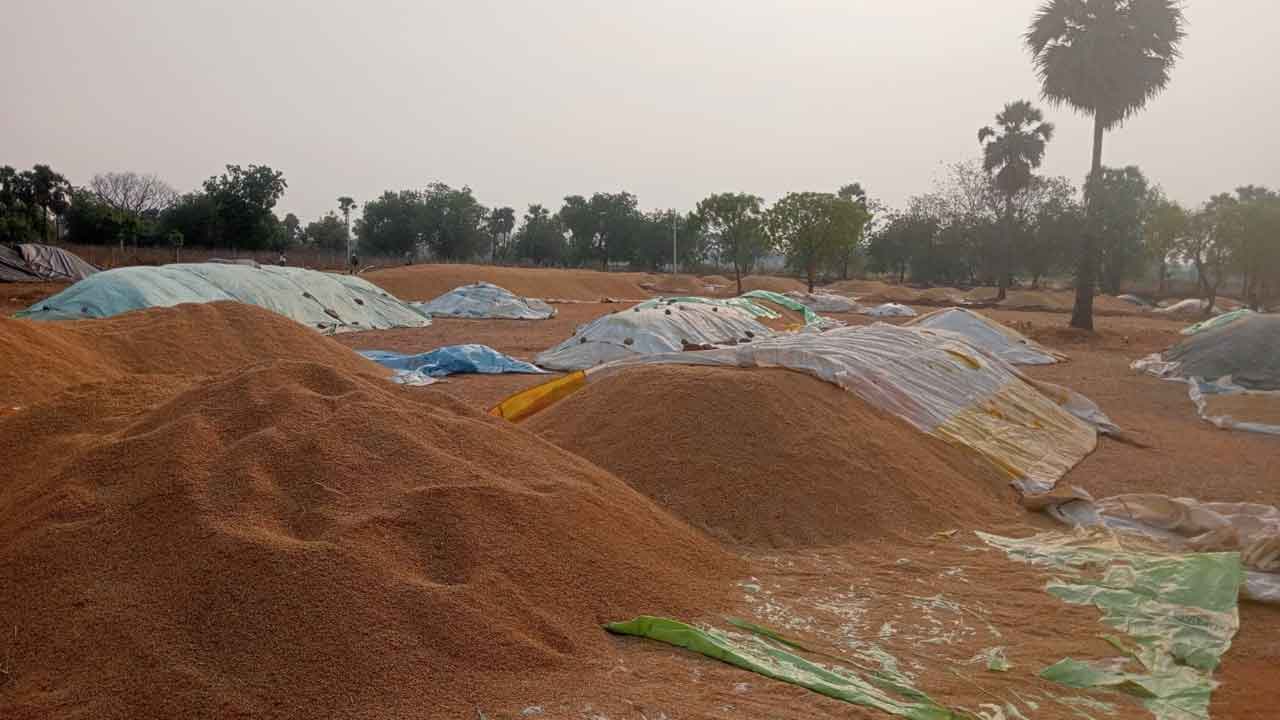 అరకొరగా ధాన్యం కొనుగోళ్లు