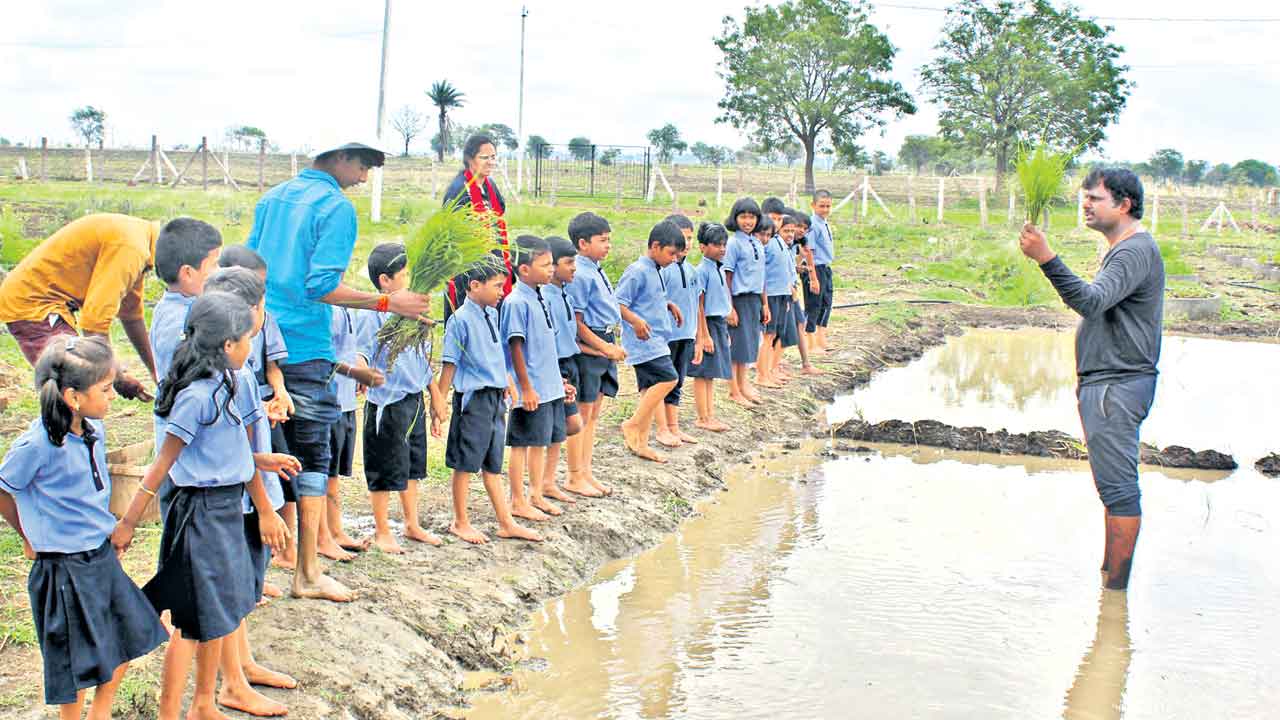 ఇక్కడ అనుభవాలే పాఠాలు!