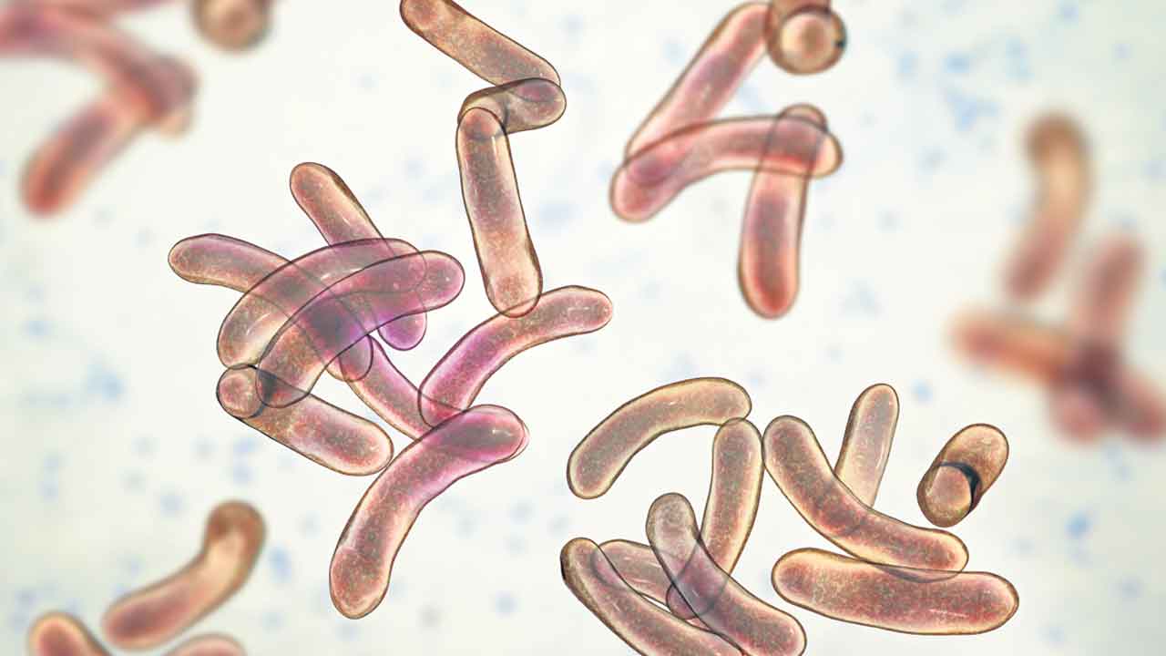 బెంగళూరులో కలరా కలకలం