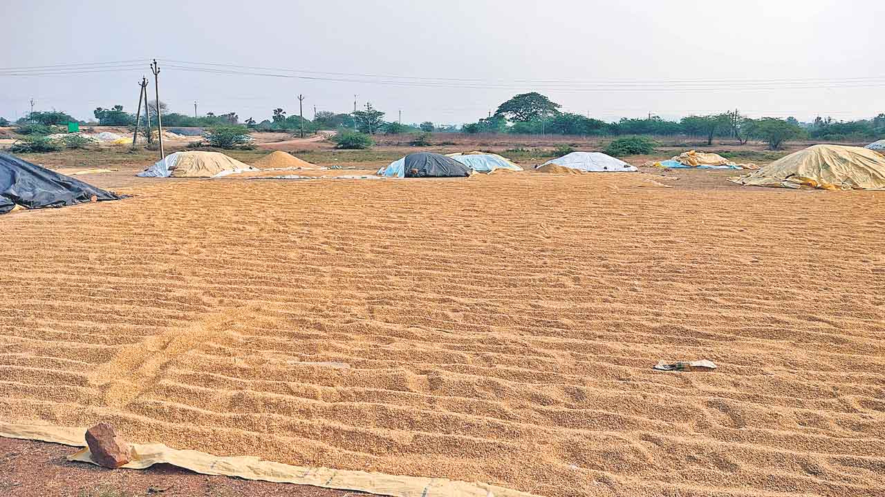 70 కేంద్రాల్లో కొనుగోళ్లు సున్నా