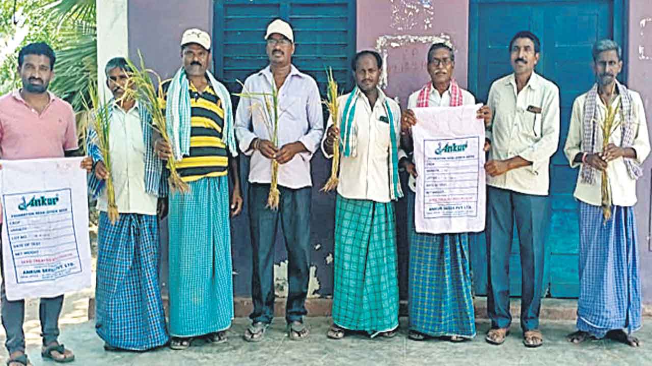 రైతులను ముంచిన ‘అంకుర్‌ సీడ్స్‌’