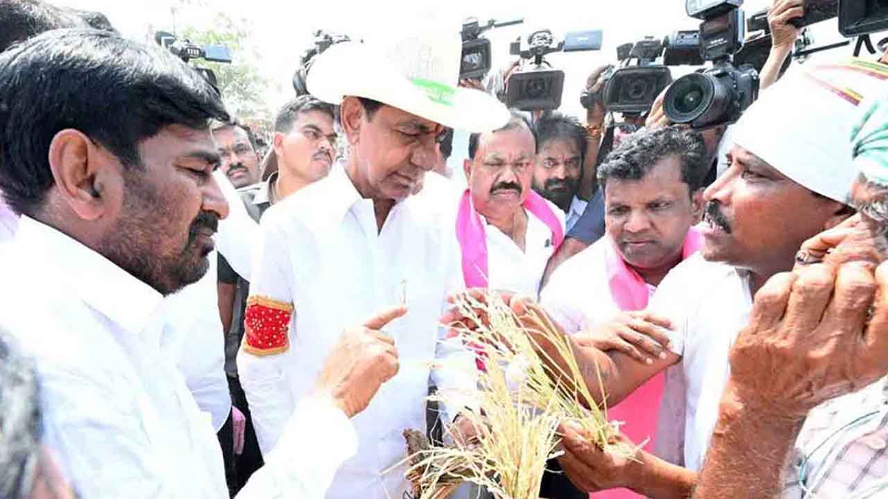 ఆగమైతున్న రైతులకు నేనున్నా!