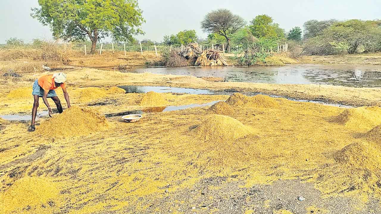 అకాల నష్టం