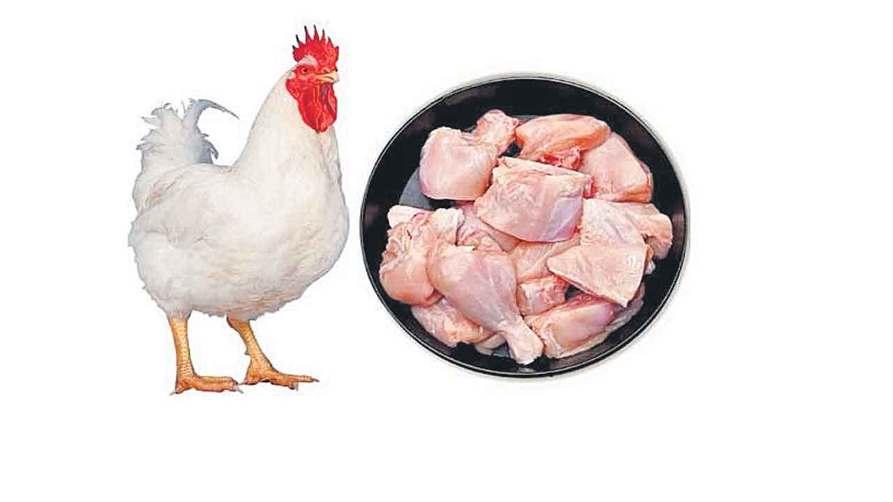 Chicken Price | ట్రిపుల్‌ సెంచరీ కొట్టిన చికెన్‌.. మరో రెండు నెలలు ఇదే పరిస్థితి