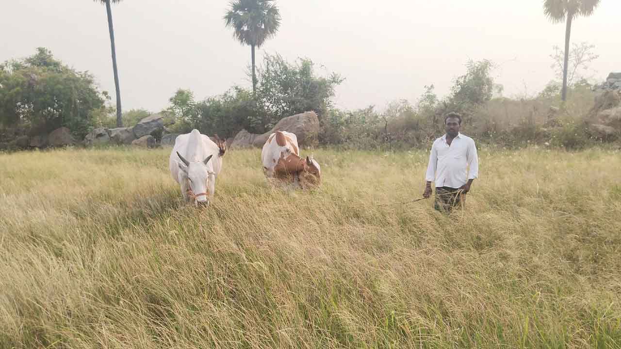 నీళ్లో రామచంద్రా