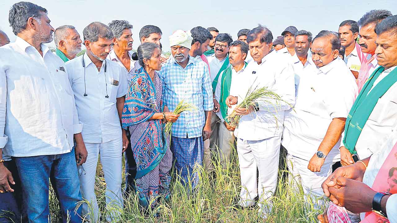 ఎండిన పంటలకు ఎకరాకు 25 వేలు ఇవ్వాలి