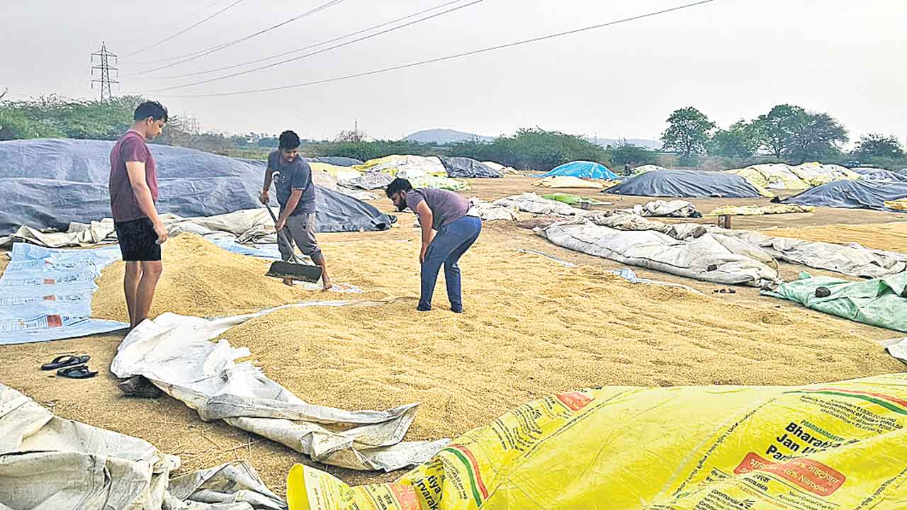పలు జిల్లాల్లో వానలు.. పంట నష్టం