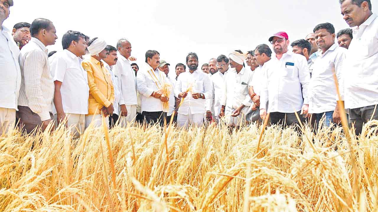 కాంగ్రెస్‌ రాగానే కరువొచ్చింది