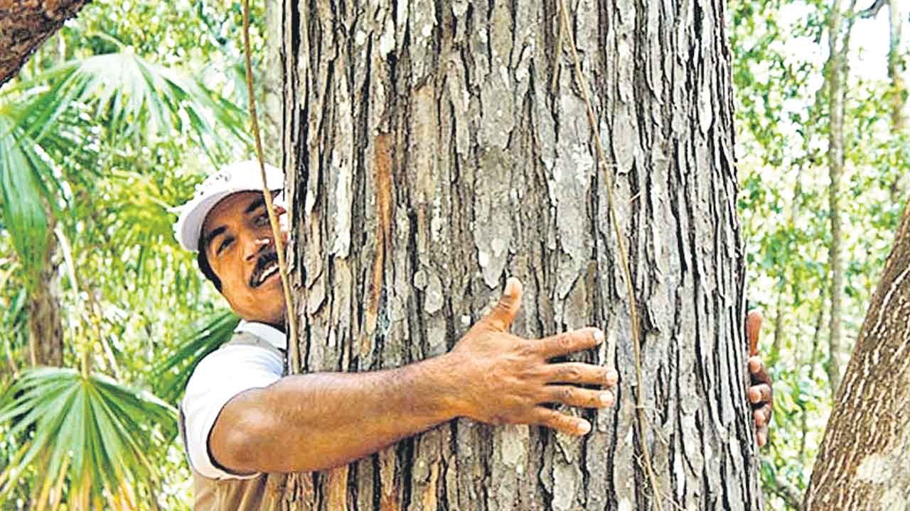 Bengaluru | చెట్లను కౌగిలించుకునేందుకు రూ.1500.. మానసిక ఒత్తిడి తగ్గించుకునేందుకట