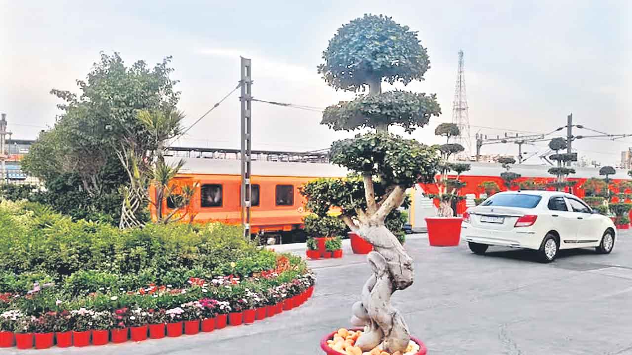 న్యూఢిల్లీ రైల్వే స్టేషన్‌లో రూ.25 లక్షల చెట్టు!