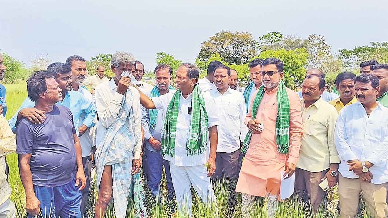 రైతుల ఆత్మహత్యకు కారణం కాంగ్రెస్సే