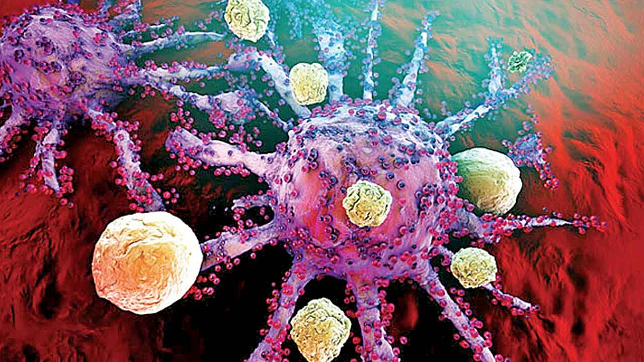 క్యాన్సర్‌ చికిత్సకు కొత్త ఇమ్యూనోథెరపీ