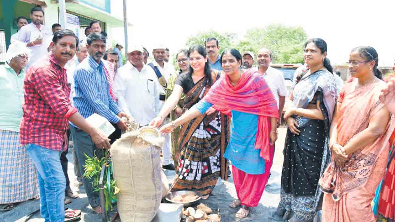 ధాన్యం కొనుగోళ్లు ప్రారంభం